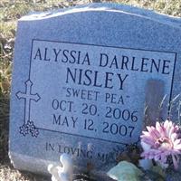 Alyssia D Nisley on Sysoon