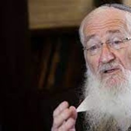 Eliezer Waldman