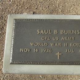 Saul Burns