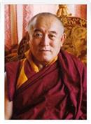 Denma Locho Rinpoche