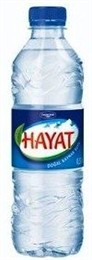 Hayat water