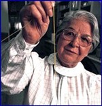 Stephanie Louise Kwolek